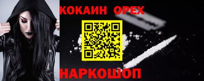 гидра Бердск