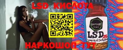 гидра Бердск