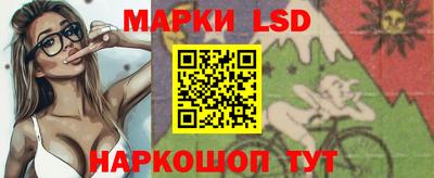 гидра Бердск