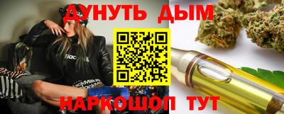 гидра Бердск