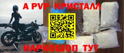 гидра Бердск
